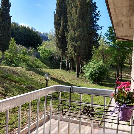 B&B Il Torchio-Urbino Zewnętrze zdjęcie