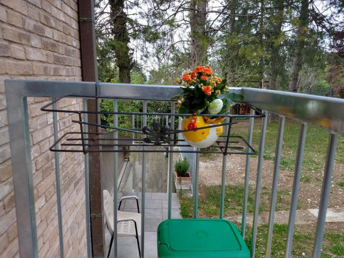 B&B Il Torchio-Urbino Zewnętrze zdjęcie